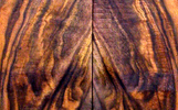 Claro Walnut Guitar Woods