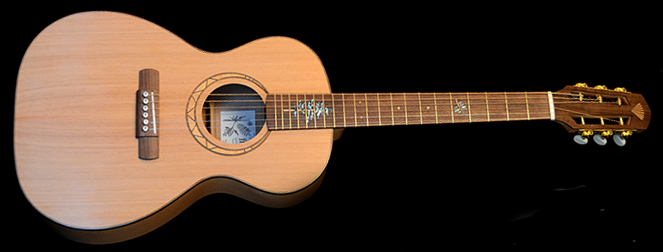 fir guitar